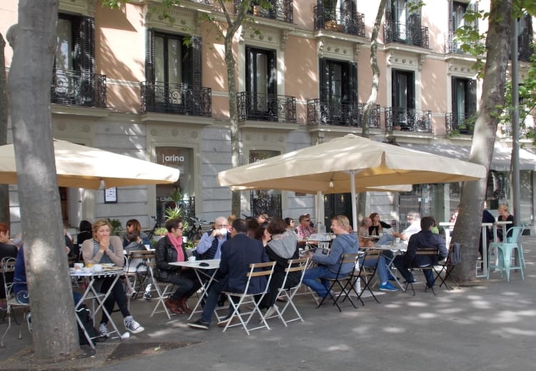 Harina Madrid Delivers Regional Food at Reasonable Prices