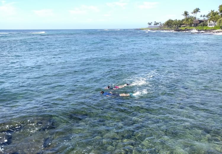 Snorkeling at Lawai Beach.Feature