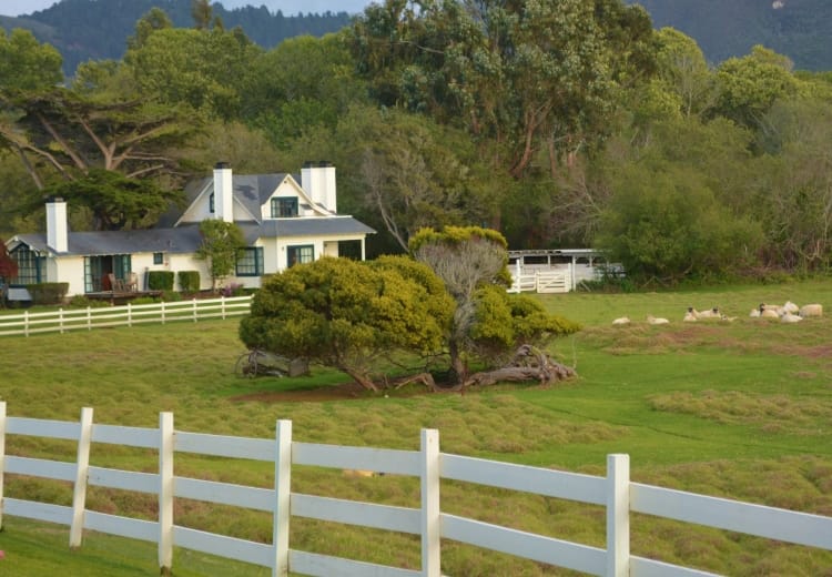 Serenity by the Sea: Carmel’s Pastoral Mission Ranch