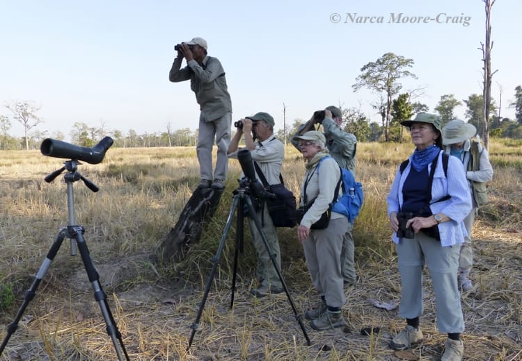 Tmatboey: Cambodia’s Showcase for Conservation