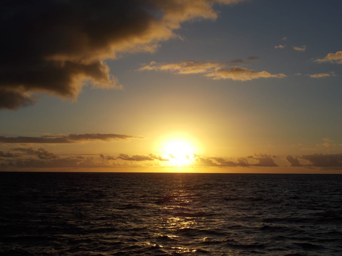 Whale Watching on Kauai’s West Coast