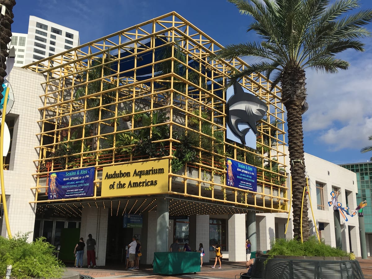 Entertaining Kids in New Orleans – Audubon Aquarium