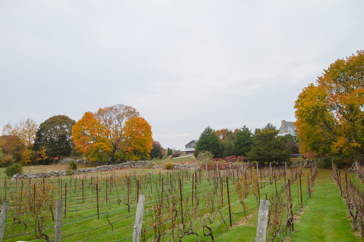 The Coastal Wine Trail Series Part 4 – Langworthy Farm Winery