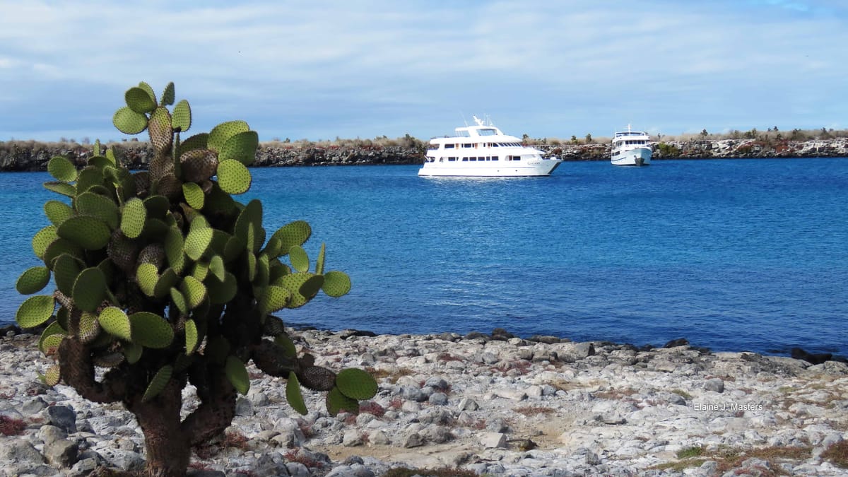 Tips for Planning Your Adventure to the Galapagos Islands