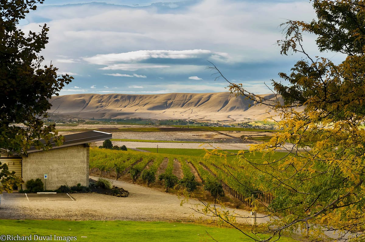 Hightower Cellars View of Red Mountain