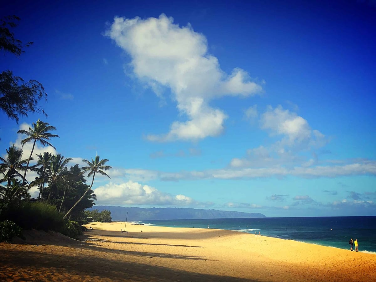 A Great Tour On Oahu With North Shore Beach Bus