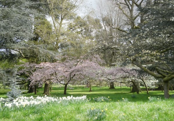 Walking the Cotswolds: Batsford Park