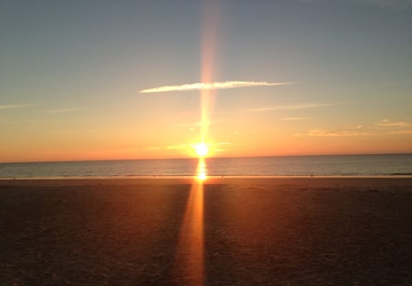 Turtles Steal the Show on Kiawah Island, South Carolina