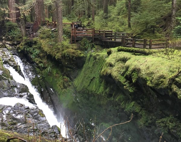 Sol Duc Feature Photo