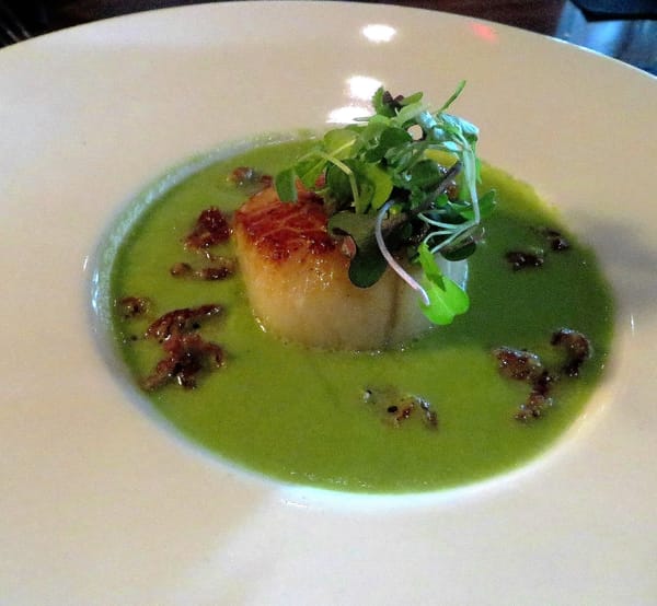 Asparagus Soup - Grille 29