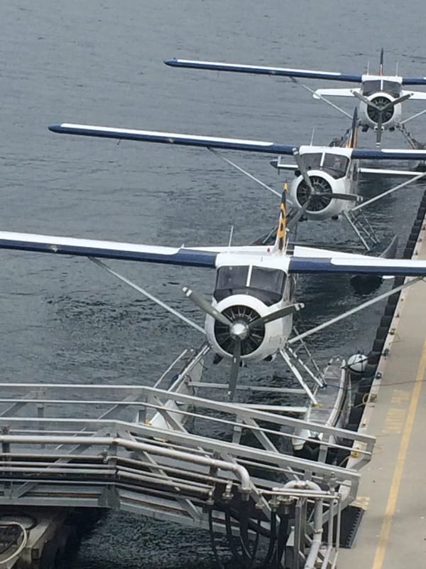 pontoon planes Health Hazard of Airplane Travel