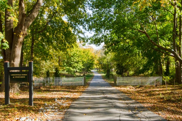 Drive to Greenvale Vineyards on The Coastal Wine Trail