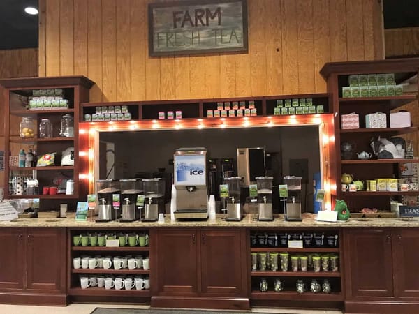 Visiting Charleston South Carolina - tasting station at Charleston Tea Plantation