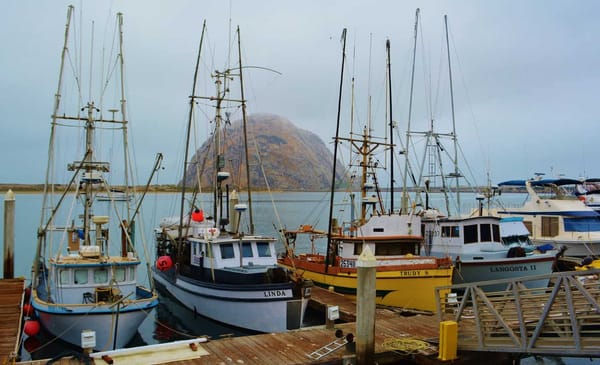 Fishing Fleet & Morro Rock