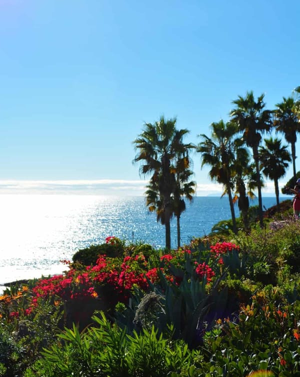 Laguna Beach OceanView