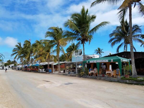 Downtown San Isabela Galapagos Islands