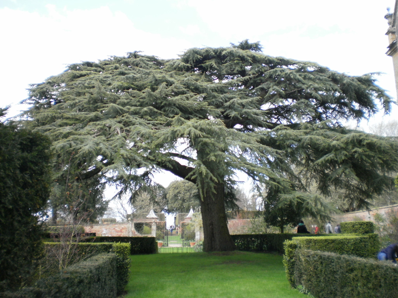 Hidcote Manor Garden