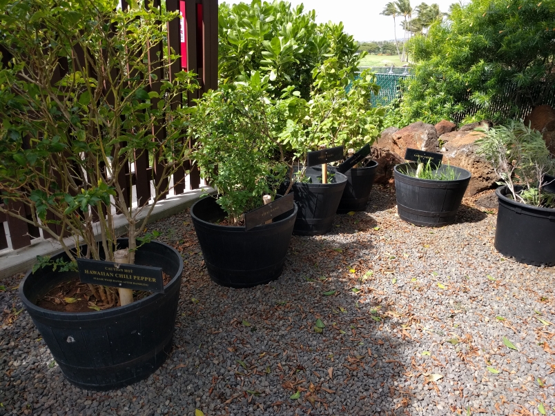 Herb Garden Lawai Beach Resort