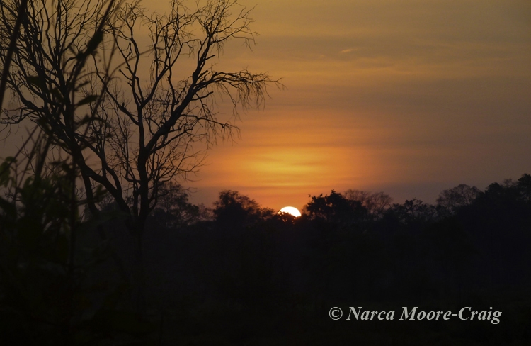 Prey Veng Sunrise