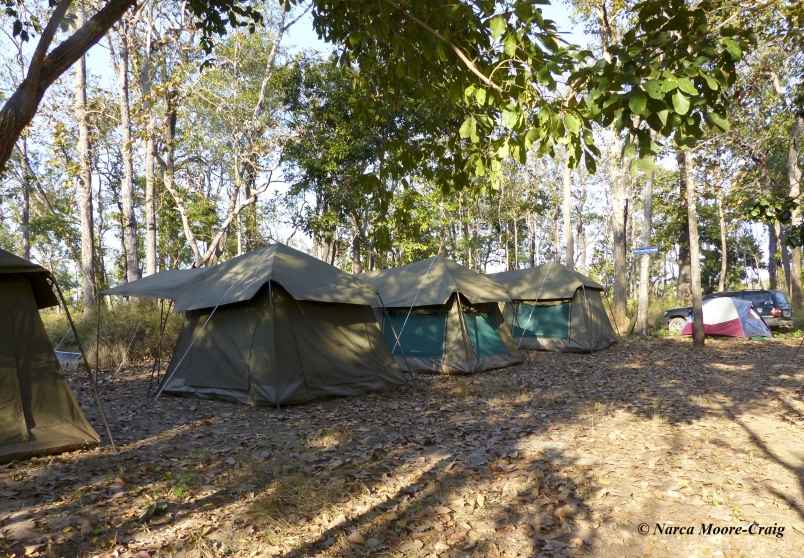 Veal Krous safari camp