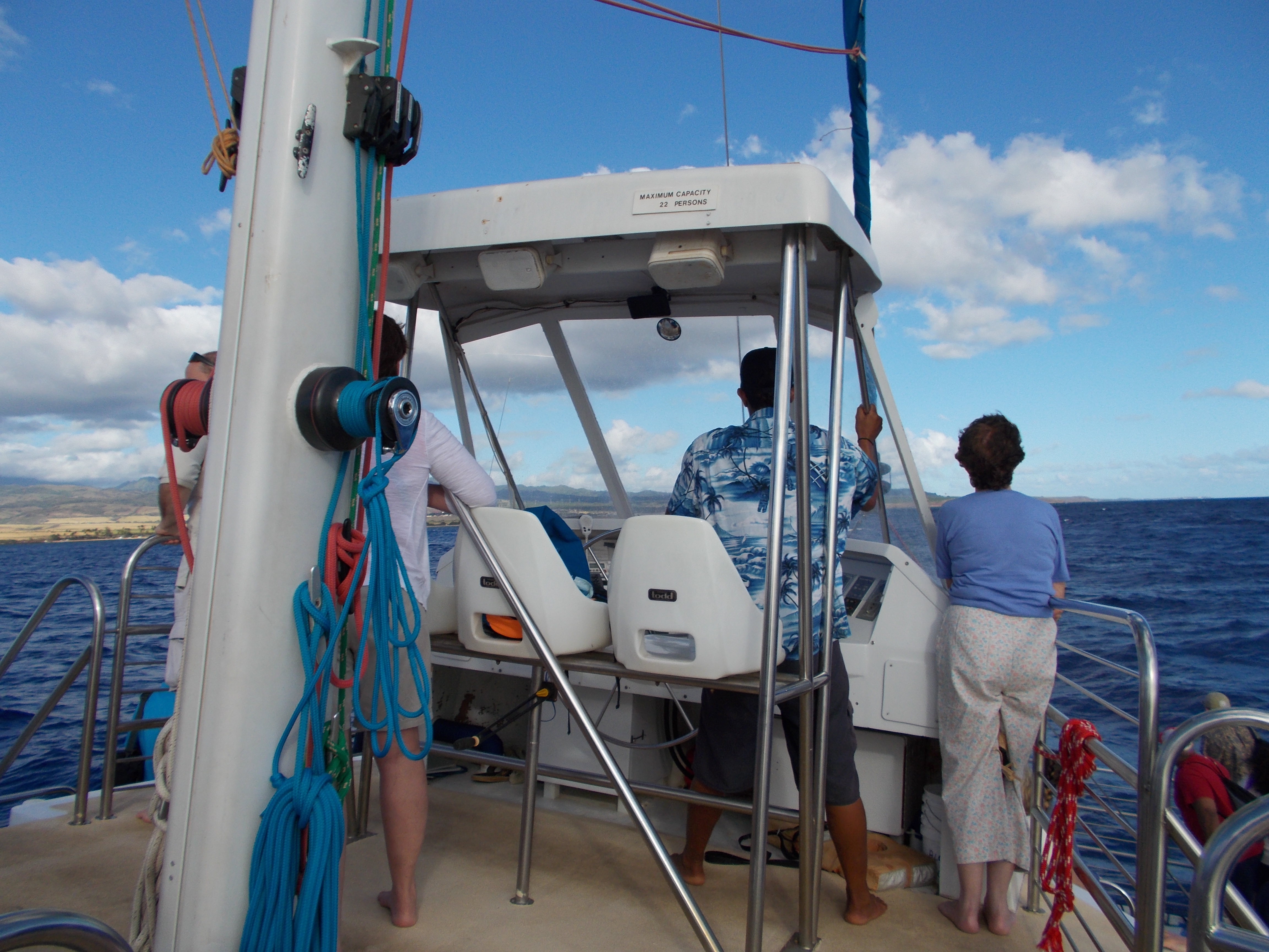 Beautiful Day for Whale Watching Catamaran Ride