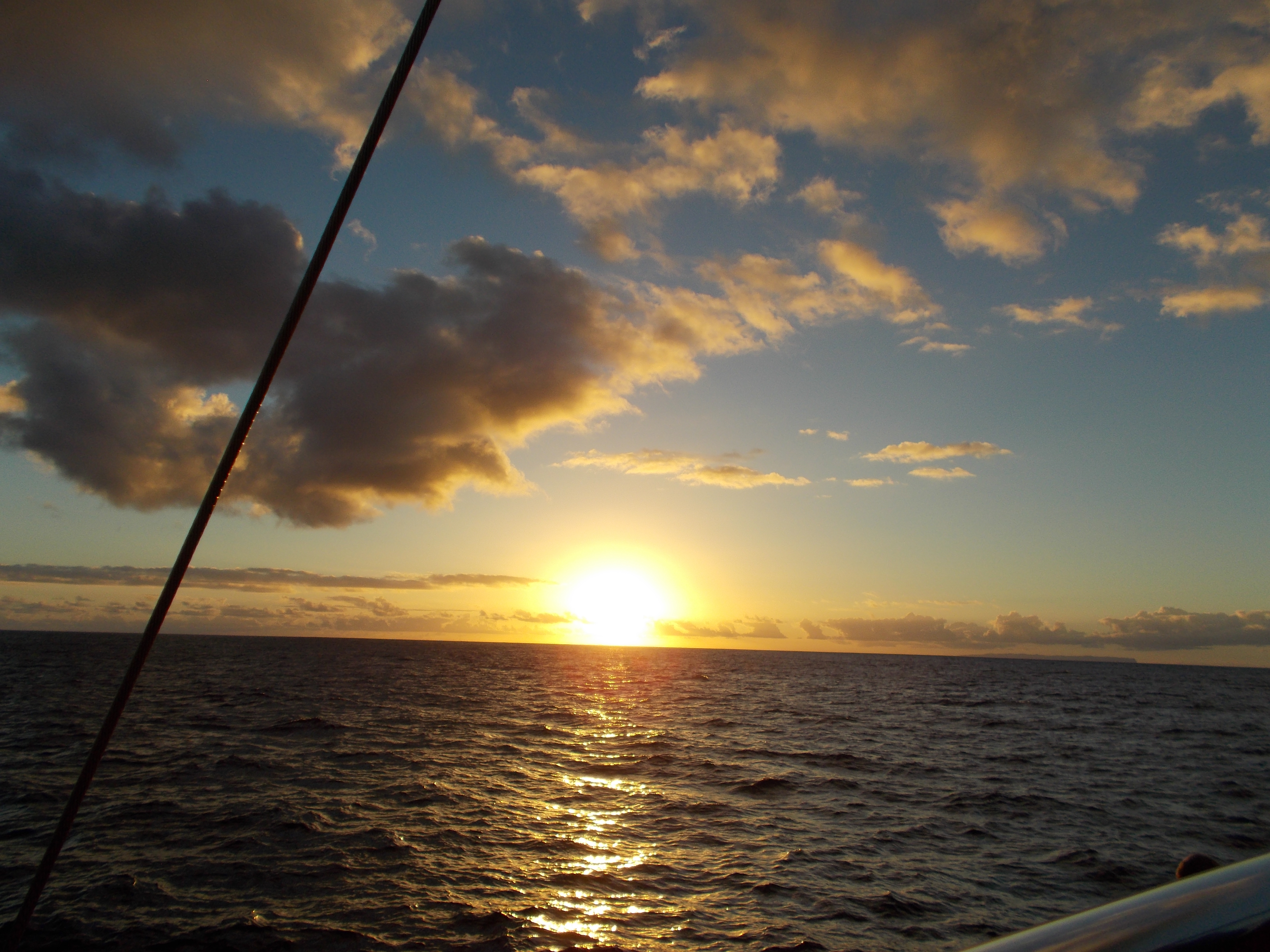 Sunset Blue Dolphin Whale Watching Tour