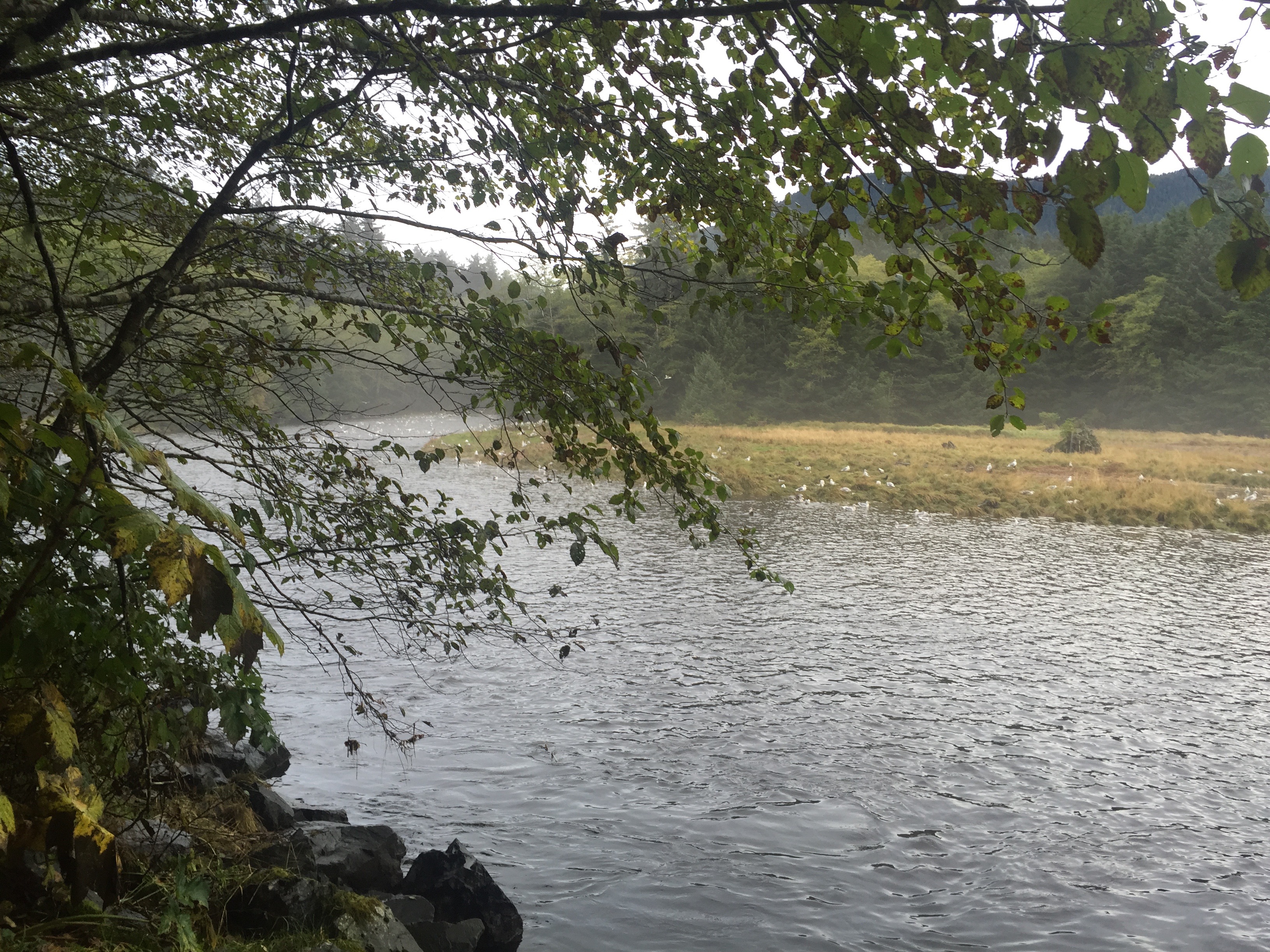 Totem Park Sitka Alaska