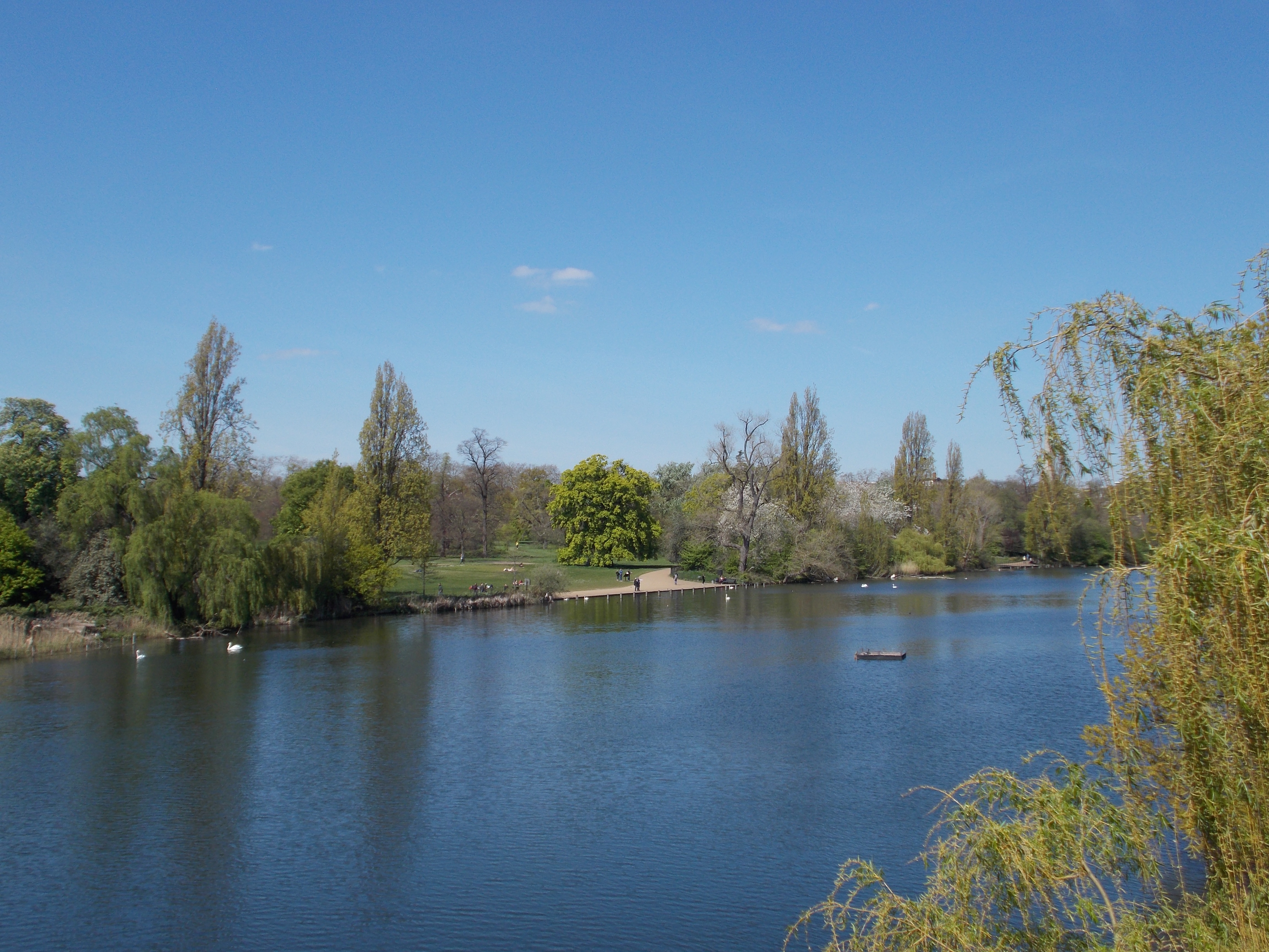 Hyde Park in May