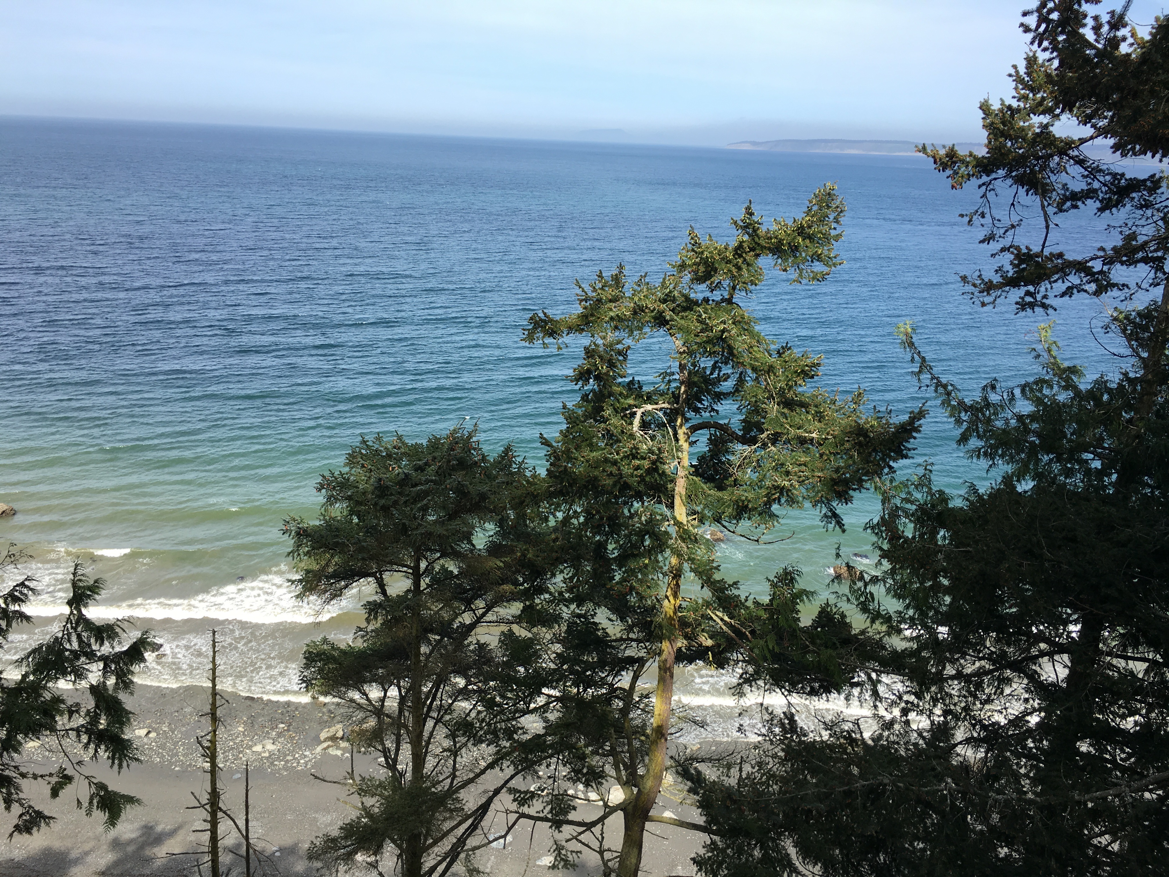 View from a trail at Fort Worden