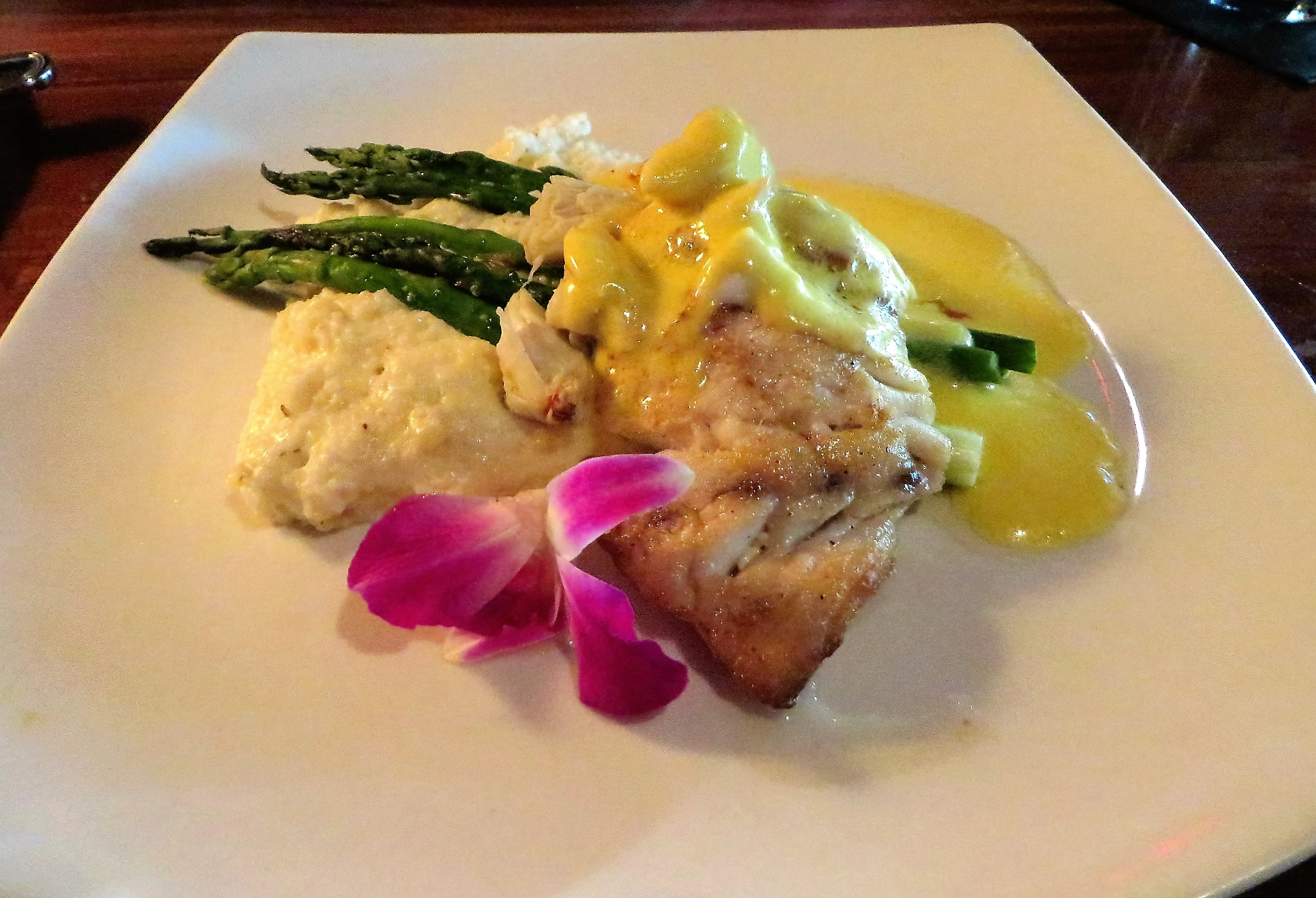 Grouper Oscar - Grille 29