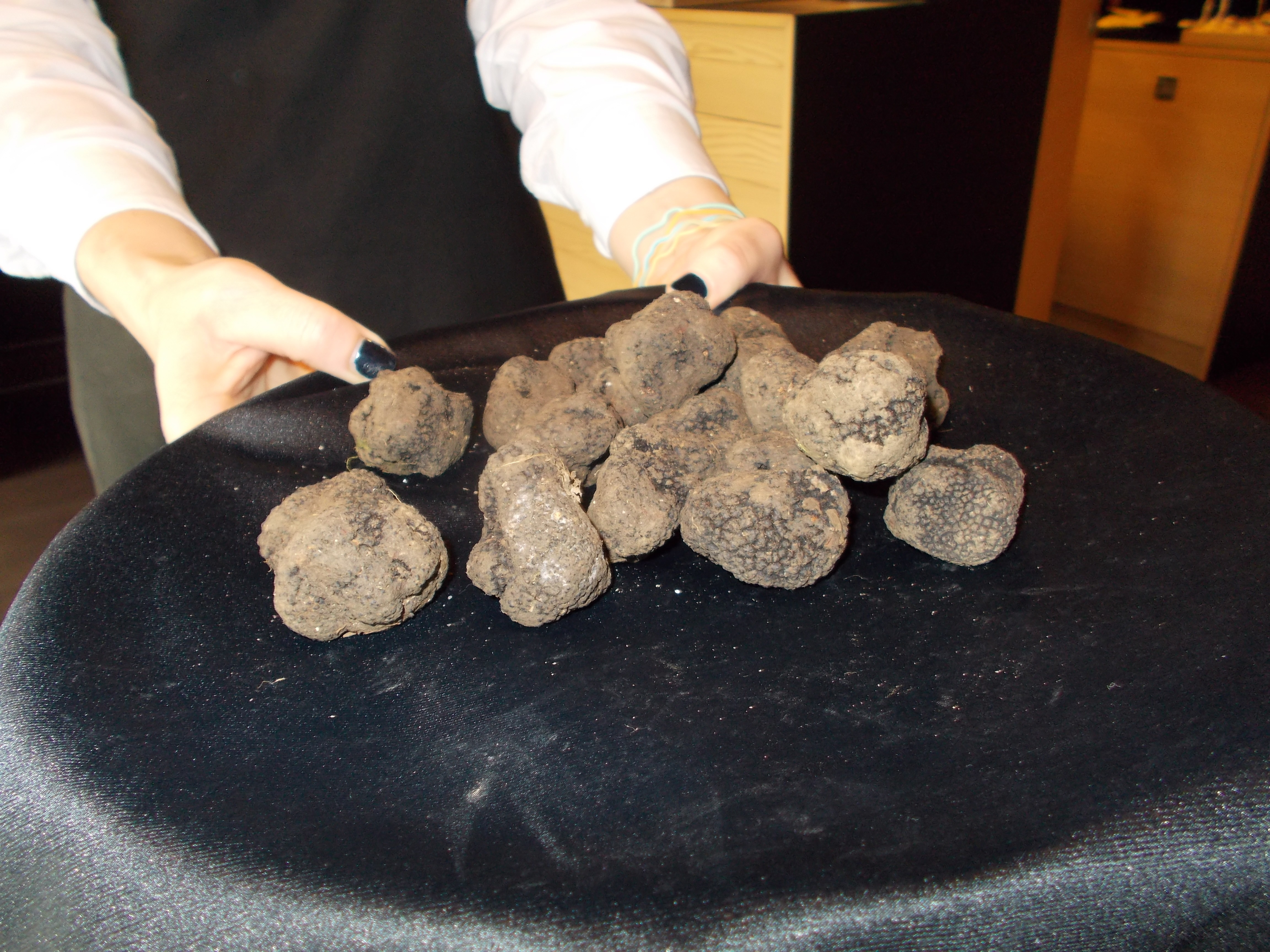 Black Truffles Croatia