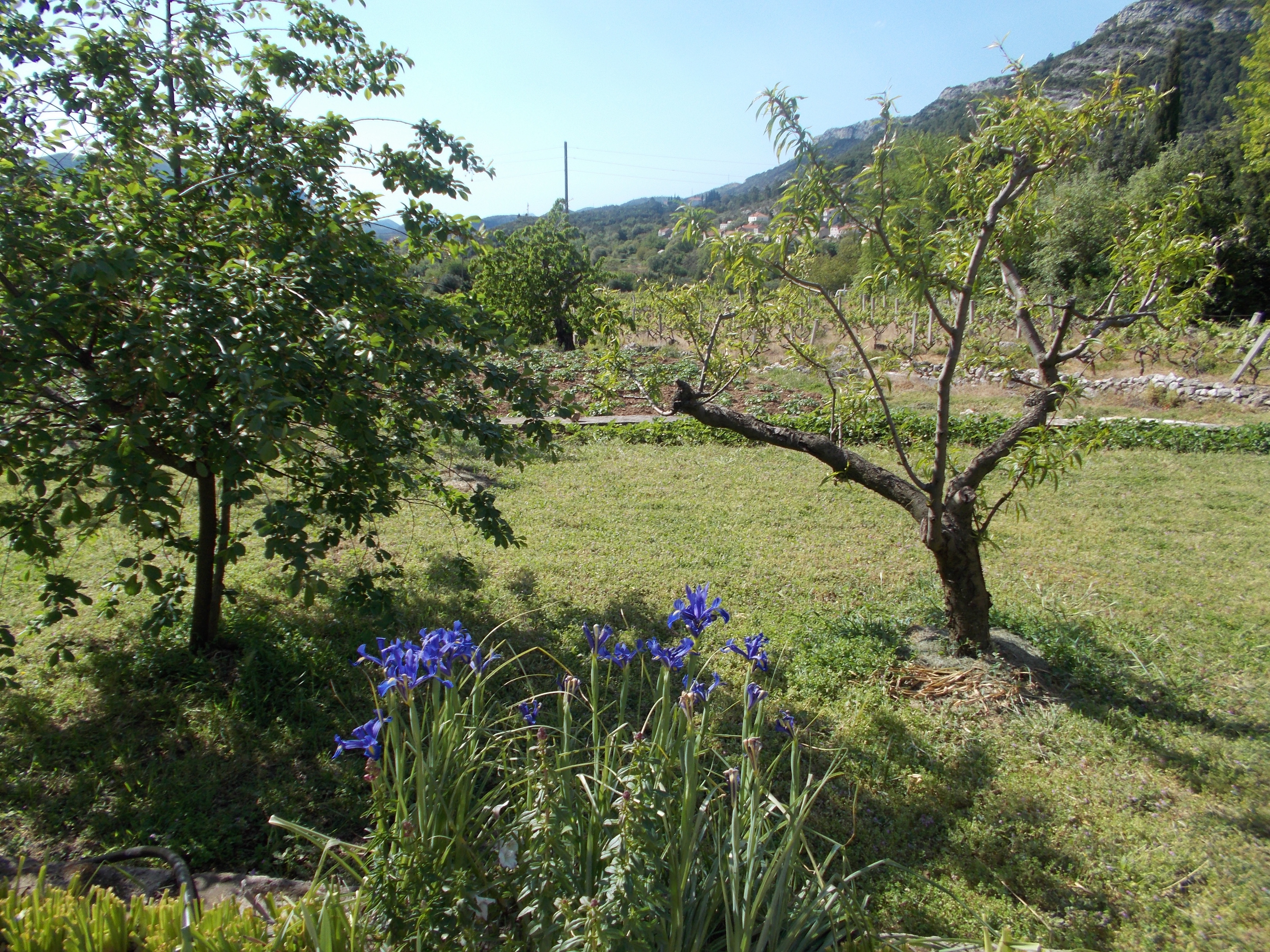 Countryside on way to Dubrovnik Croatia