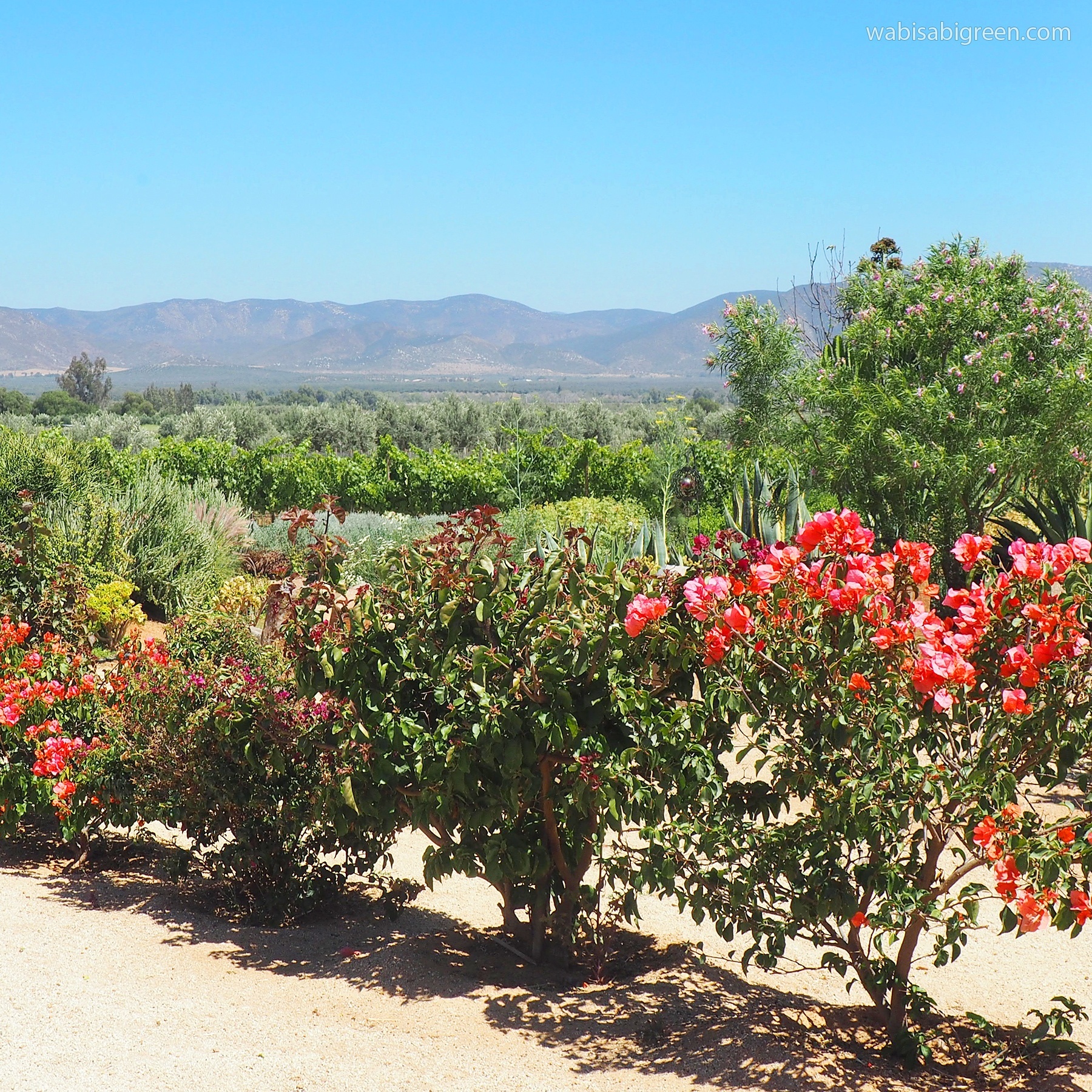 Finca la Carrodilla Winery