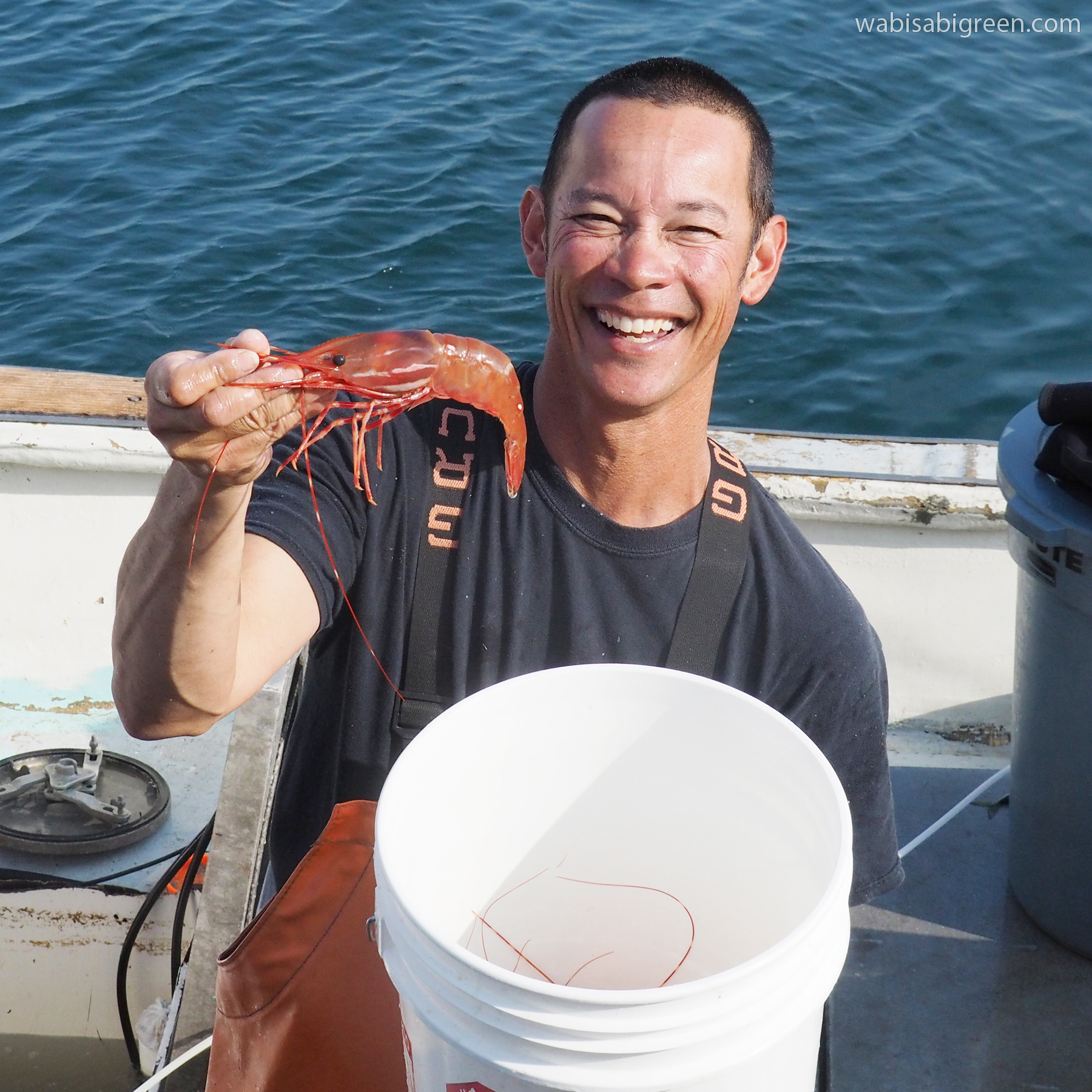 Fisherman Dan Major Holds Spot Prawn