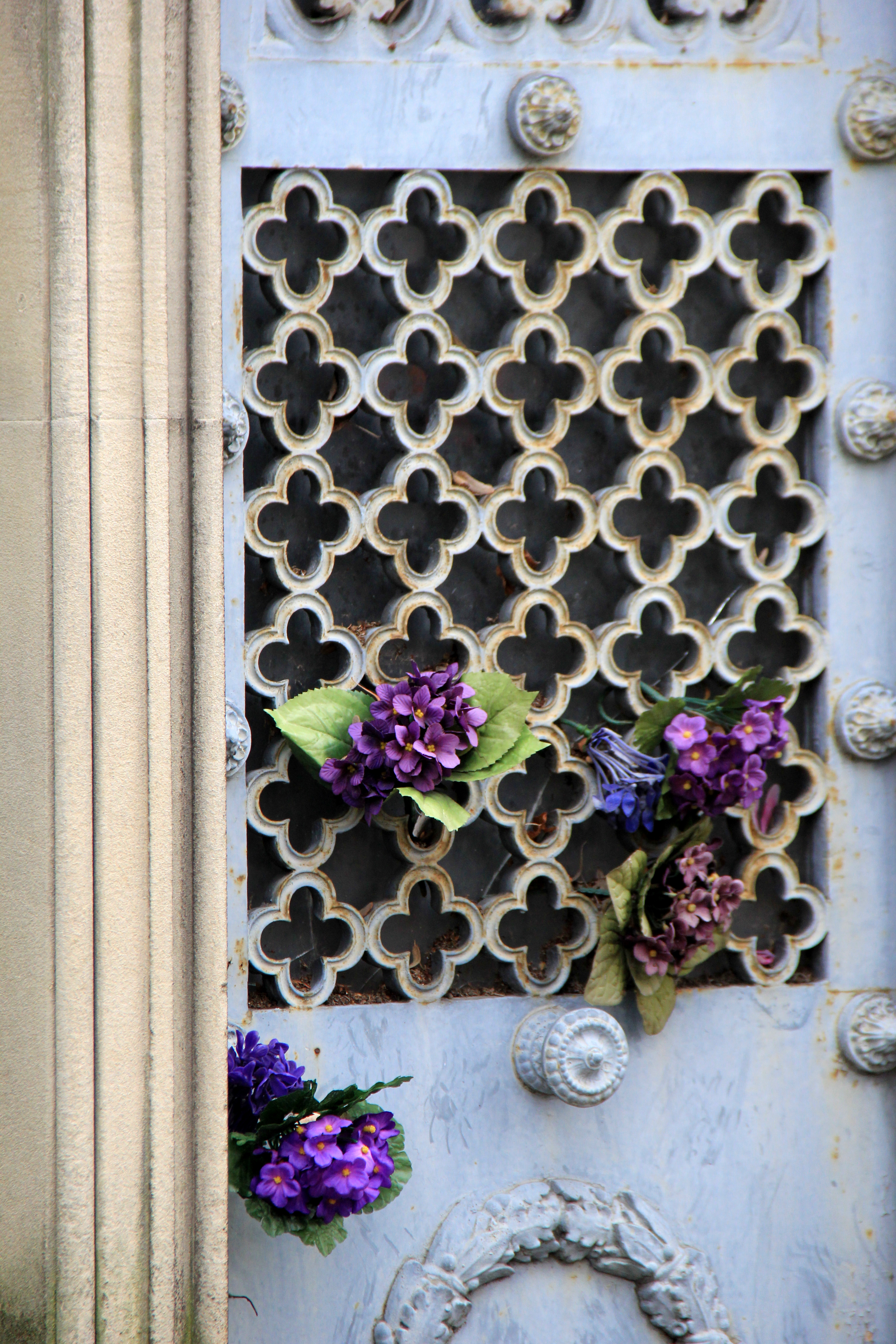 Cemetery Violets