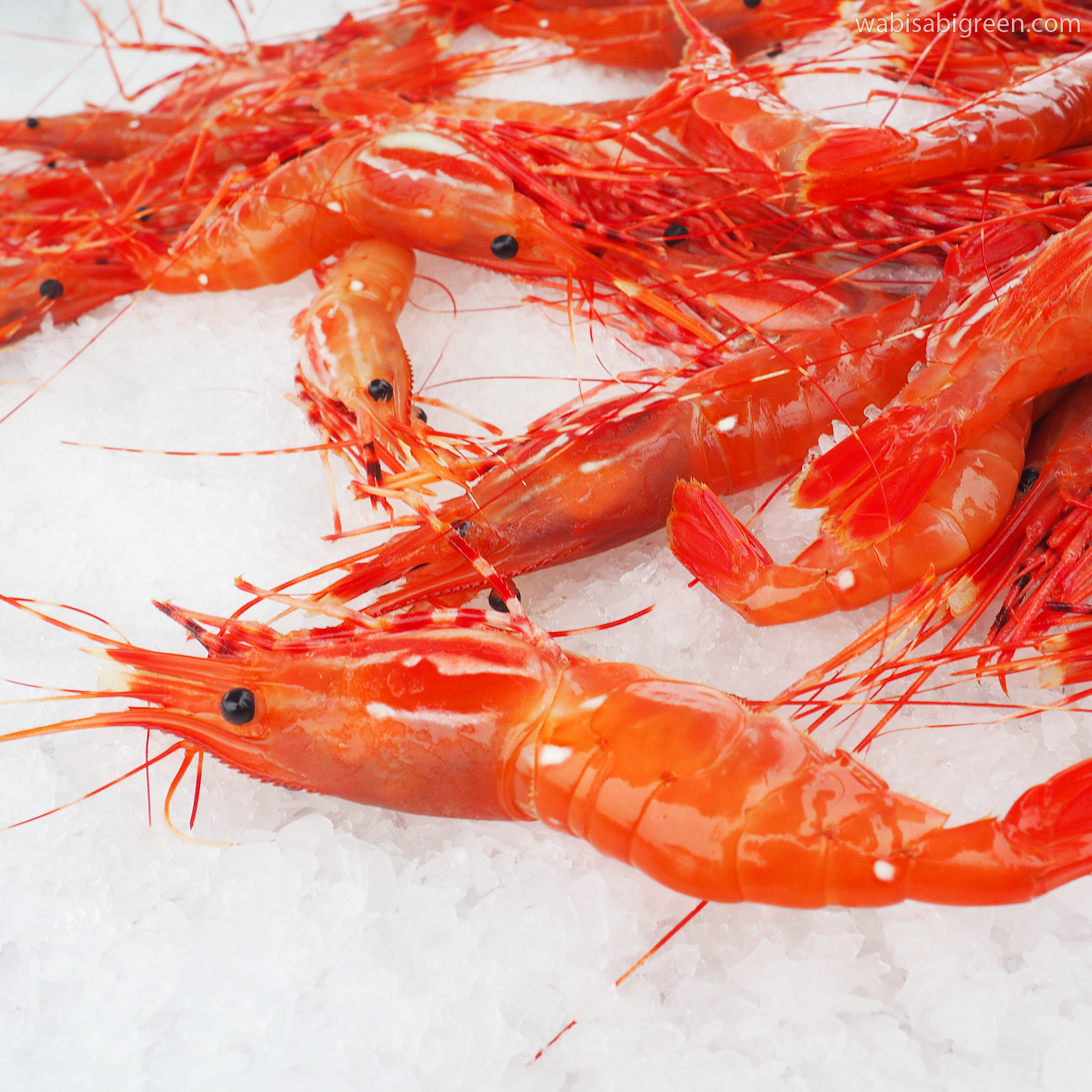 Spot Prawns - Tuna Harbor Dockside Market