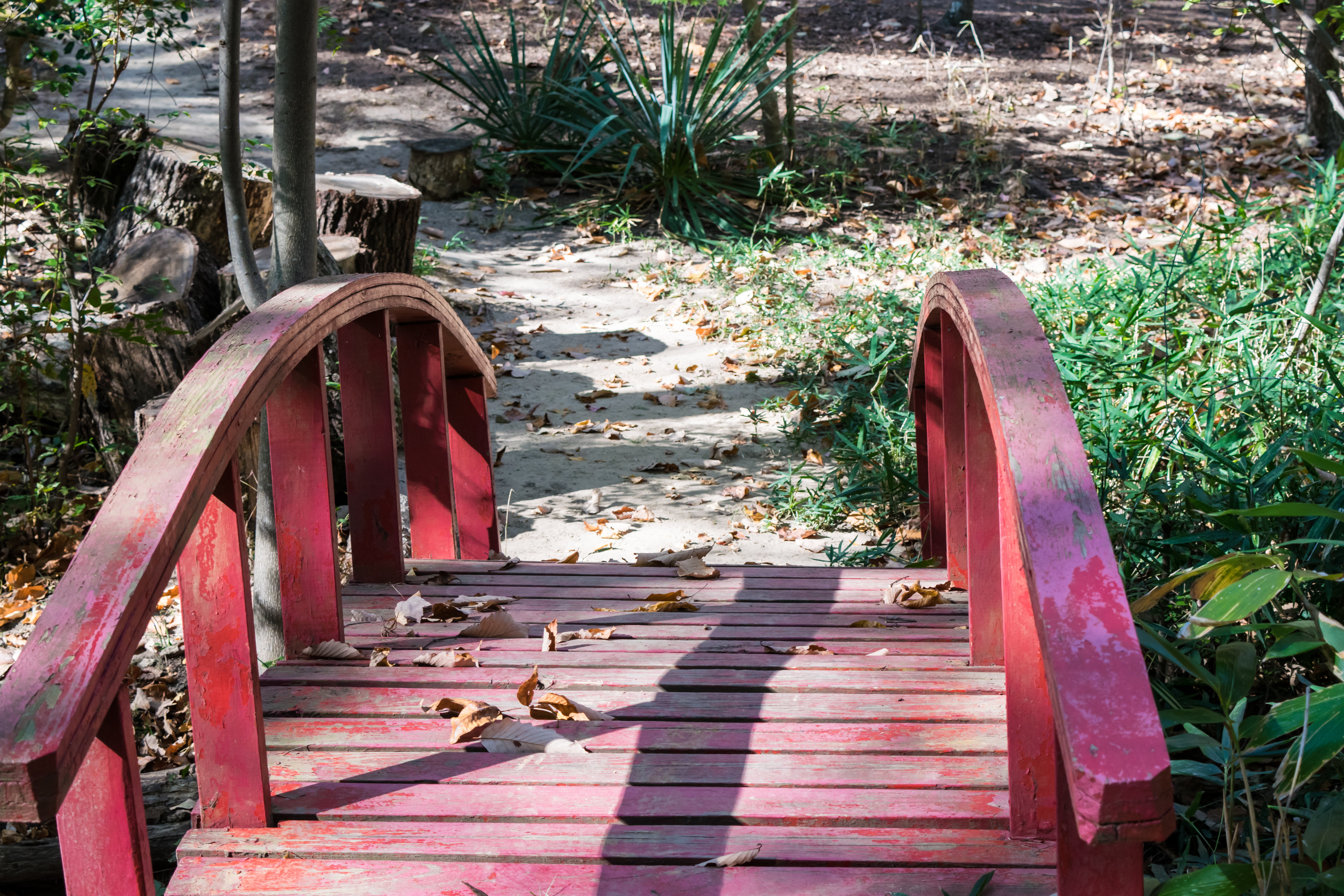 Red Bridge in Japanese Garden at Monte Sano State Park